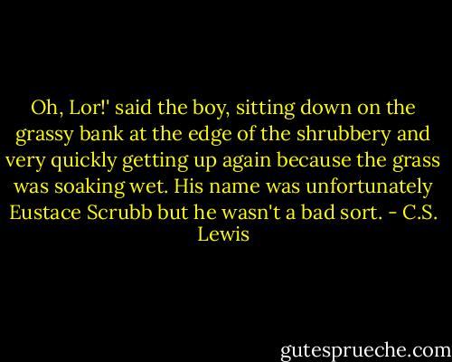 Oh, Lor!' said the boy, sitting down on the grassy bank at the edge of the shrubbery and very quickly getting up again because the grass was soaking wet. His name was unfortunately Eustace Scrubb but he wasn't a bad sort. - C.S. Lewis