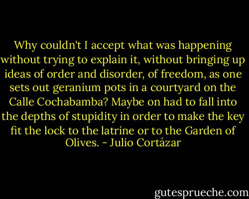 Why couldn't I accept what was happening without trying to explain it, without bringing up ideas of order and disorder, of freedom, as one sets out geranium pots in a courtyard on the Calle Cochabamba? Maybe on had to fall into the depths of stupidity in order to make the key fit the lock to the latrine or to the Garden of Olives. - Julio Cortázar