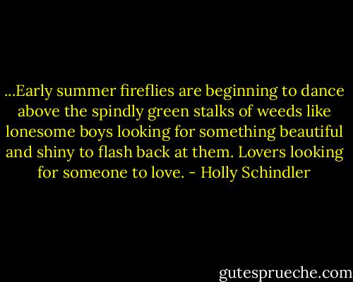 ...Early summer fireflies are beginning to dance above the spindly green stalks of weeds like lonesome boys looking for something beautiful and shiny to flash back at them. Lovers looking for someone to love. - Holly Schindler