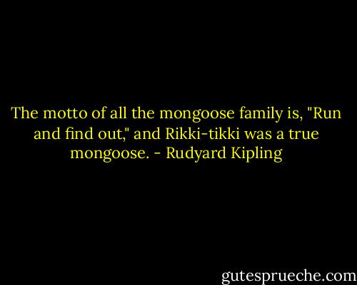 The motto of all the mongoose family is, "Run and find out," and Rikki-tikki was a true mongoose. - Rudyard Kipling