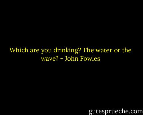 Which are you drinking? The water or the wave? - John Fowles