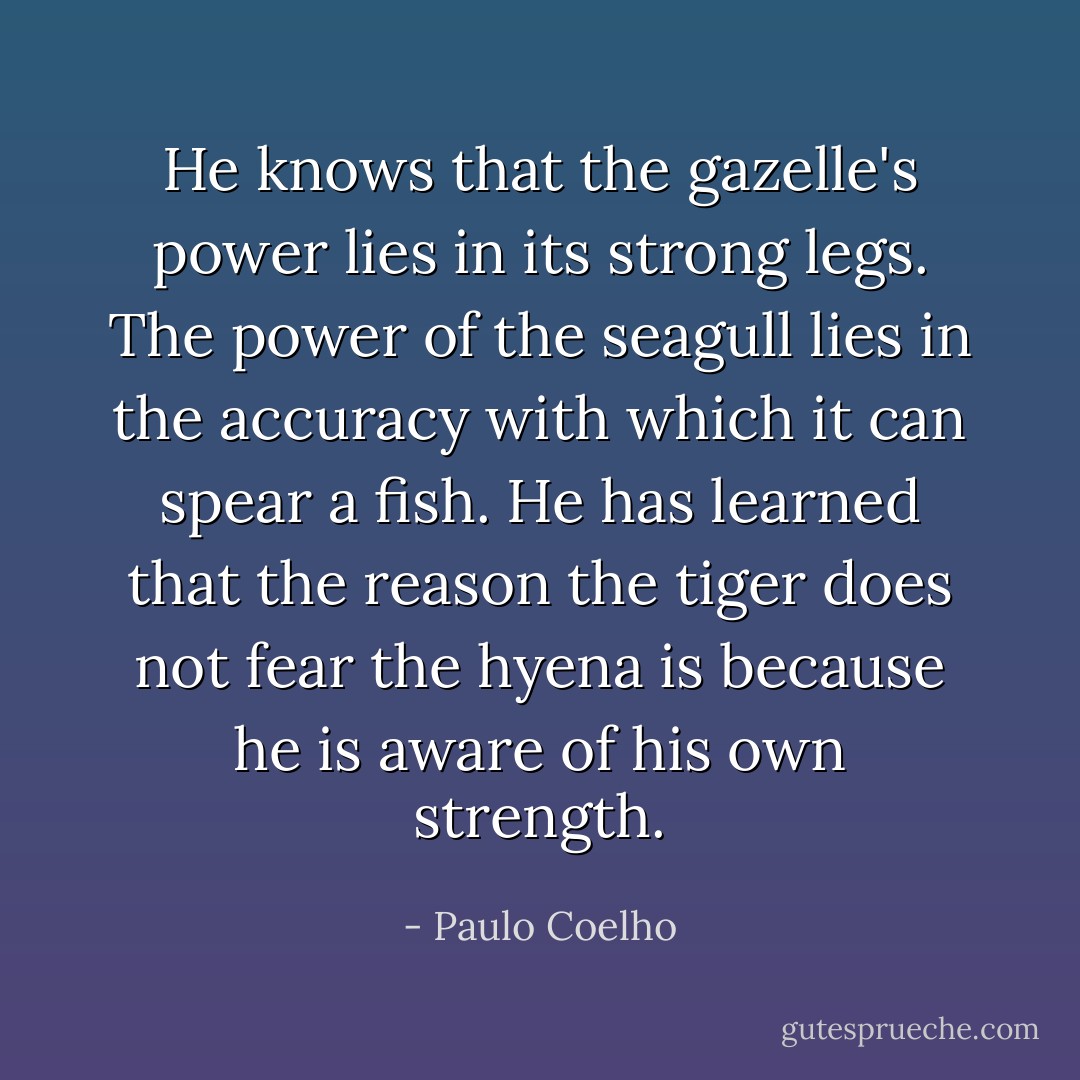 He knows that the gazelle's power lies in its strong legs. The power of the seagull<br />lies in the accuracy with which it can spear a fish. He has learned that the reason<br />the tiger does not fear the hyena is because he is aware of his own strength. - Paulo Coelho