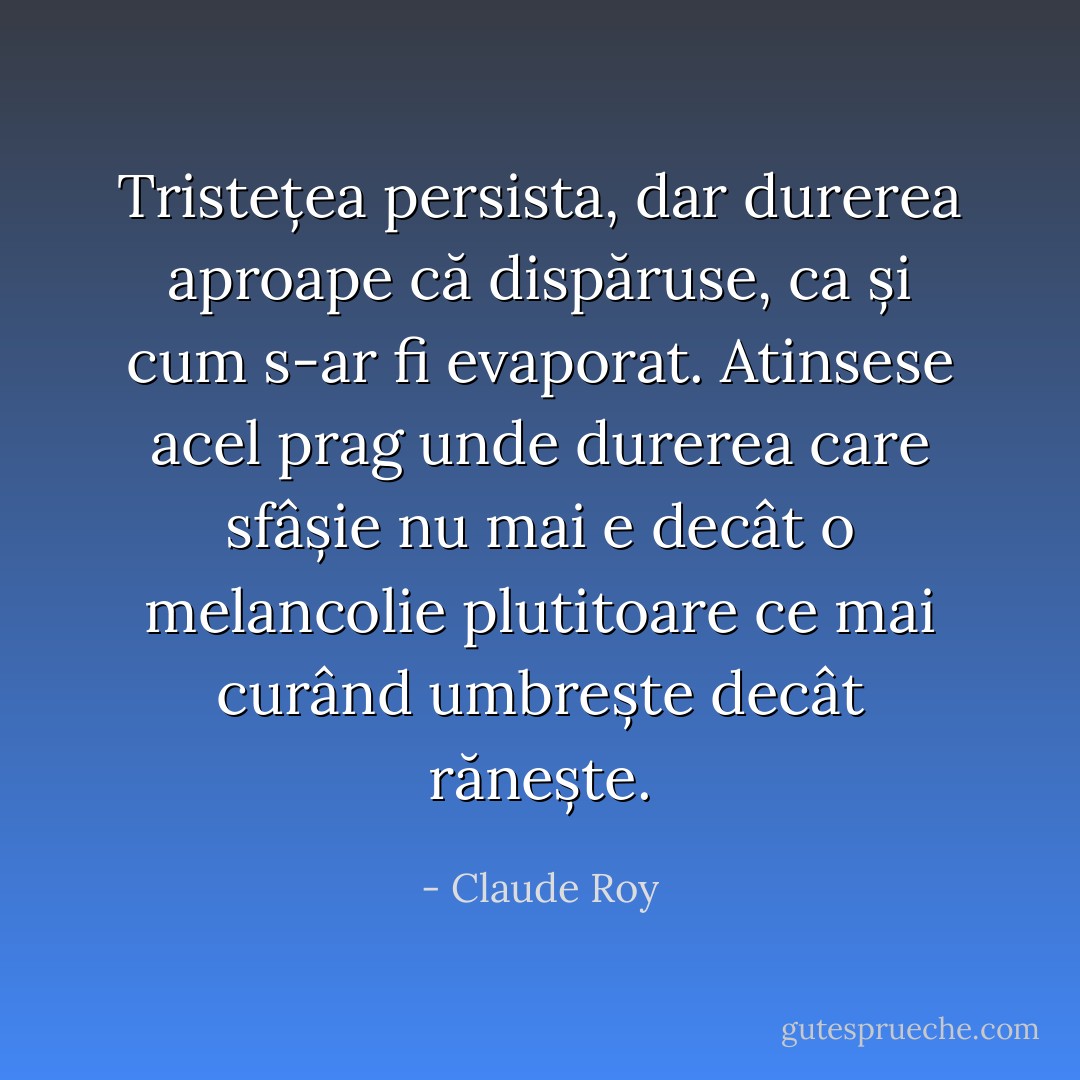 Tristețea persista, dar durerea aproape că dispăruse, ca și cum s-ar fi evaporat. Atinsese acel prag unde durerea care sfâșie nu mai e decât o melancolie plutitoare ce mai curând umbrește decât rănește. - Claude Roy