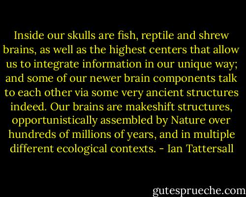 Inside our skulls are fish, reptile and shrew brains, as well as the highest centers that allow us to integrate information in our unique way; and some of our newer brain components talk to each other via some very ancient structures indeed. Our brains are makeshift structures, opportunistically assembled by Nature over hundreds of millions of years, and in multiple different ecological contexts. - Ian Tattersall