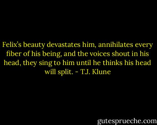 Felix’s beauty devastates him, annihilates every fiber of his being, and the voices shout in his head, they sing to him until he thinks his head will split. - T.J. Klune