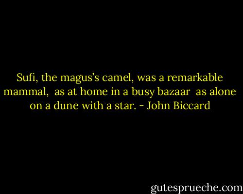 Sufi, the magus’s camel,<br />was a remarkable mammal, <br />as at home in a busy bazaar <br />as alone on a dune with a star. - John Biccard