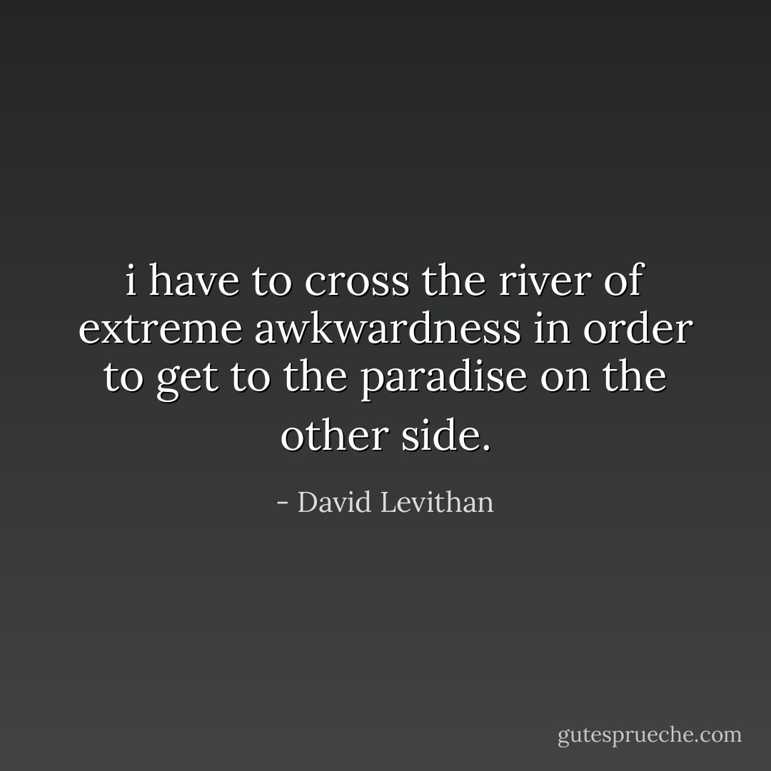 i have to cross the river of extreme awkwardness in order to get to the paradise on the other side. - David Levithan