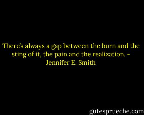 There’s always a gap between the burn and the sting of it, the pain and the realization. - Jennifer E. Smith
