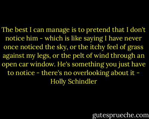 The best I can manage is to pretend that I don't notice him - which is like saying I have never once noticed the sky, or the itchy feel of grass against my legs, or the pelt of wind through an open car window. He's something you just have to notice - there's no overlooking about it - Holly Schindler