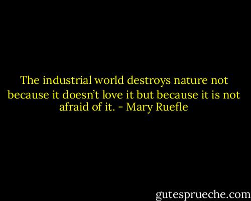 The industrial world destroys nature not because it doesn’t love it but because it is not afraid of it. - Mary Ruefle
