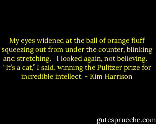 My eyes widened at the ball of orange fluff squeezing out from under the counter, blinking and stretching. <br /><br />I looked again, not believing. <br /><br />“It’s a cat,” I said, winning the Pulitzer prize for incredible intellect. - Kim Harrison