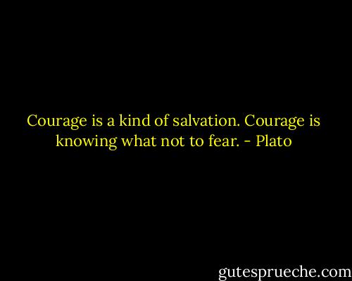 Courage is a kind of salvation. Courage is knowing what not to fear. - Plato