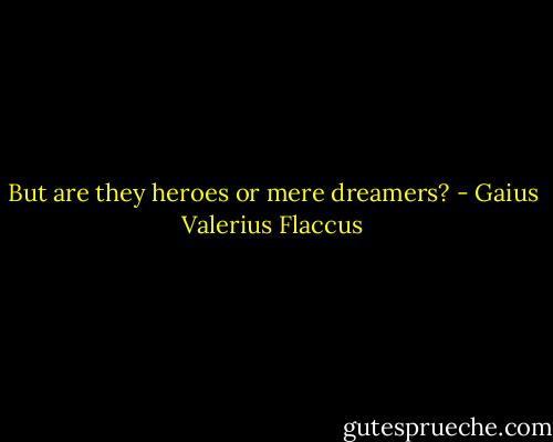 But are they heroes or mere dreamers? - Gaius Valerius Flaccus