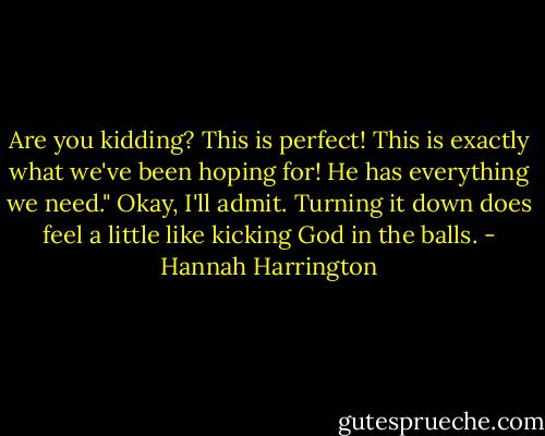 Are you kidding? This is perfect! This is exactly what we've been hoping for! He has everything we need."<br />Okay, I'll admit. Turning it down does feel a little like kicking God in the balls. - Hannah Harrington
