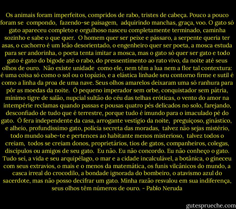 Os animais foram<br />imperfeitos,<br />compridos de rabo, tristes<br />de cabeça.<br />Pouco a pouco foram se <br />compondo, <br />fazendo-se paisagem, <br />adquirindo manchas, graça, voo.<br />O gato<br />só gato<br />apareceu completo<br />e orgulhoso<br />nasceu completamente terminado,<br />caminha sozinho e sabe o que quer.<br /><br />O homem quer ser peixe e pássaro,<br />a serpente queria ter asas,<br />o cachorro é um leão desorientado,<br />o engenheiro quer ser poeta,<br />a mosca estuda para ser andorinha,<br />o poeta tenta imitar a mosca,<br />mas o gato só quer ser gato<br />e todo gato é gato<br />do bigode até o rabo,<br />do pressentimento ao rato vivo,<br />da noite até seus olhos de ouro.<br /><br />Não existe unidade <br />como ele,<br />nem têm a lua nem a flor<br />tal contextura:<br />é uma coisa só<br />como o sol ou o topázio,<br />e a elástica linhade seu contorno<br />firme e sutil é como<br />a linha da proa de uma nave.<br />Seus olhos amarelos<br />deixaram uma só<br />ranhura<br />para pôr as moedas da noite.<br /><br />Ó pequeno imperador sem orbe,<br />conquistador sem pátria,<br />mínimo tigre de salão, nupcial<br />sultão do céu<br />das telhas eróticas,<br />o vento do amor<br />na intempérie<br />reclamas<br />quando passas<br />e pousas<br />quatro pés delicados<br />no solo,<br />farejando,<br />desconfiado<br />de tudo que é terrestre,<br />porque tudo<br />é imundo<br />para o imaculado pé do gato.<br /><br />Ó fera independente<br />da casa, arrogante<br />vestígio da noite, <br />preguiçoso,<br />ginástico, <br />e alheio,<br />profundíssimo gato,<br />polícia secreta<br />das moradas, <br />talvez não sejas mistério,<br />todo mundo sabe-te e pertences<br />ao habitante menos misterioso, <br />talvez todos o creiam, <br />todos se creiam donos,<br />proprietários, tios<br />de gatos, companheiros,<br />colegas,<br />discípulos ou amigos<br />de seu gato.<br /><br />Eu não.<br />Eu não concordo.<br />Eu não conheço o gato.<br />Tudo sei, a vida e seu arquipélago,<br />o mar e a cidade incalculável,<br />a botânica,<br />o gineceu com seus extravios,<br />o mais e o menos da matemática,<br />os funis vilcânicos do mundo,<br />a casca irreal do crocodilo,<br />a bondade ignorada do bombeiro, o atavismo azul do sacerdote,<br />mas não posso decifrar um gato.<br />Minha razão resvalou em sua indiferença,<br />seus olhos têm números de ouro. - Pablo Neruda