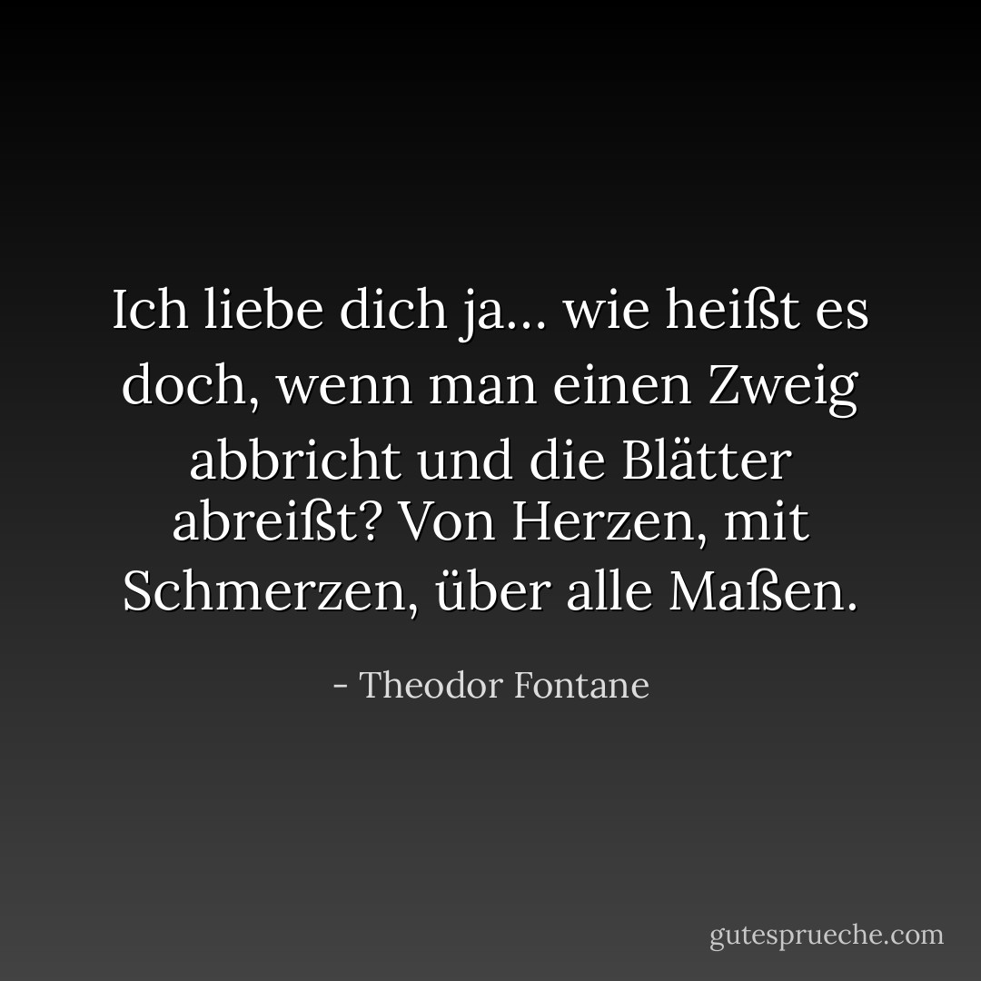 Ich liebe dich ja… wie heißt es doch, wenn man einen Zweig abbricht und die Blätter abreißt? Von Herzen, mit Schmerzen, über alle Maßen. - Theodor Fontane