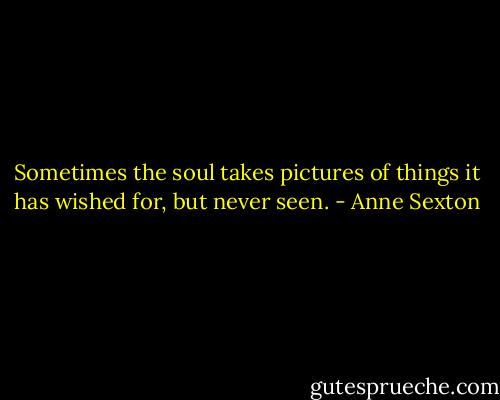 Sometimes the soul takes pictures of things it has wished for, but never seen. - Anne Sexton