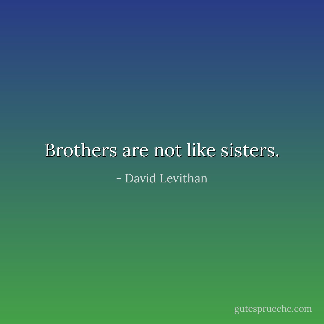 Brothers are not like sisters. - David Levithan