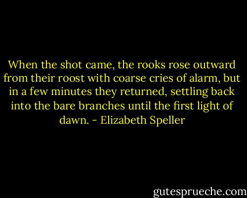 When the shot came, the rooks rose outward from their roost with coarse cries of alarm, but in a few minutes they returned, settling back into the bare branches until the first light of dawn. - Elizabeth Speller