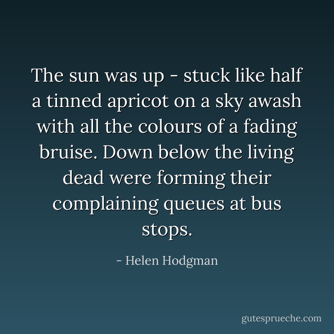 The sun was up - stuck like half a tinned apricot on a sky awash with all the colours of a fading bruise. Down below the living dead were forming their complaining queues at bus stops. - Helen Hodgman