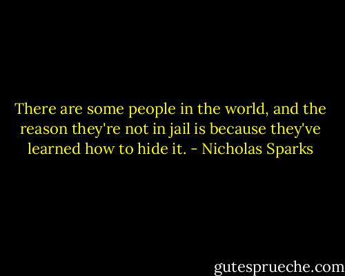 There are some people in the world, and the reason they're not in jail is because they've learned how to hide it. - Nicholas Sparks