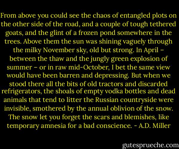 From above you could see the chaos of entangled plots on the other side of the road, and a couple of tough tethered goats, and the glint of a frozen pond somewhere in the trees. Above them the sun was shining vaguely through the milky November sky, old but strong. In April – between the thaw and the jungly green explosion of summer – or in raw mid-October, I bet the same view would have been barren and depressing. But when we stood there all the bits of old tractors and discarded refrigerators, the shoals of empty vodka bottles and dead animals that tend to litter the Russian countryside were invisible, smothered by the annual oblivion of the snow. The snow let you forget the scars and blemishes, like temporary amnesia for a bad conscience. - A.D. Miller