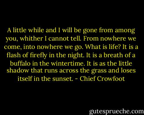 A little while and I will be gone from among you, whither I cannot tell. From nowhere we come, into nowhere we go. What is life? It is a flash of firefly in the night. It is a breath of a buffalo in the wintertime. It is as the little shadow that runs across the grass and loses itself in the sunset. - Chief Crowfoot