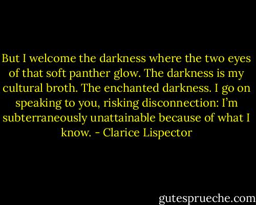 But I welcome the darkness where the two eyes of that soft panther glow. The darkness is my cultural broth. The enchanted darkness. I go on speaking to you, risking disconnection: I’m subterraneously unattainable because of what I know. - Clarice Lispector
