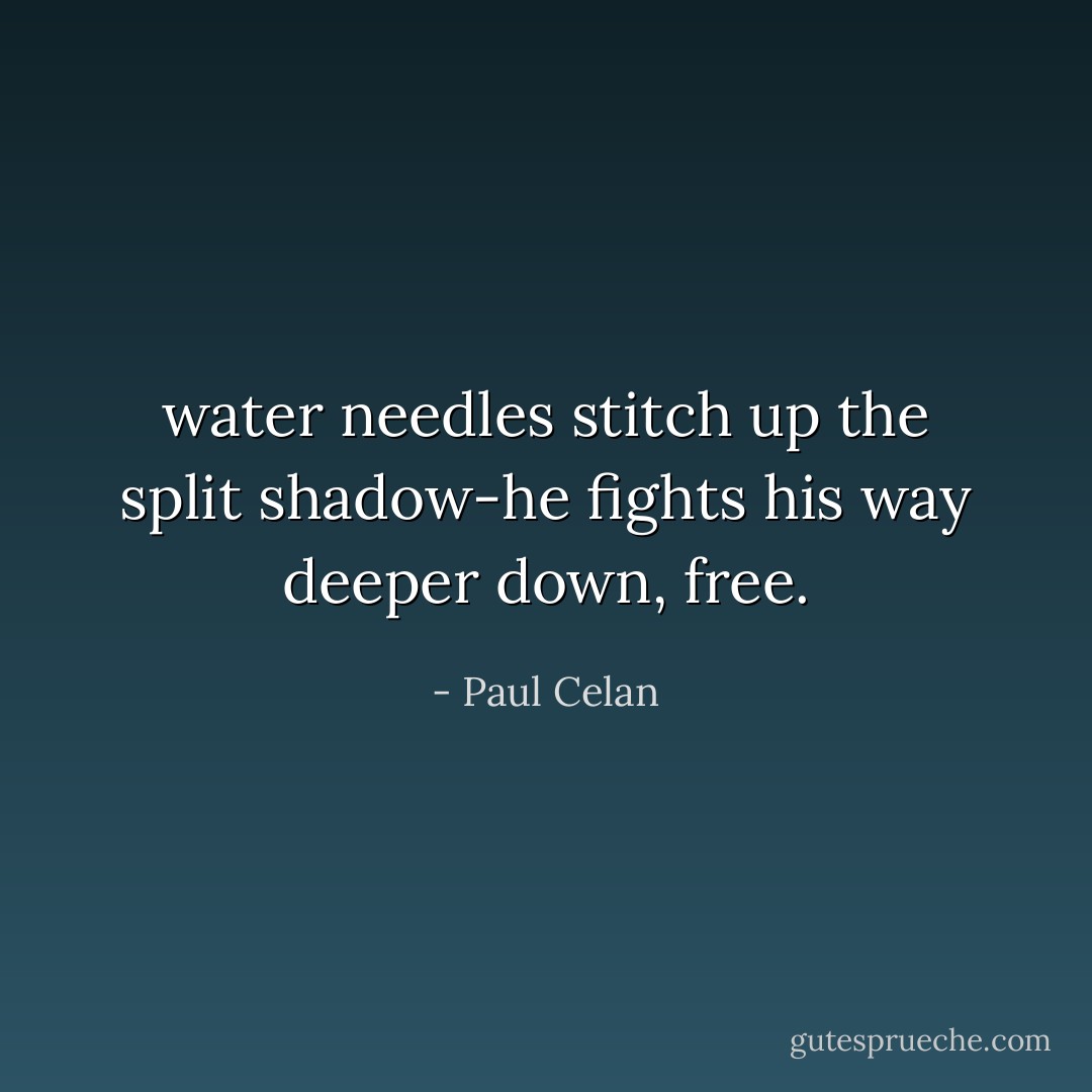 water needles<br />stitch up the split<br />shadow-he fights his way<br />deeper down, free. - Paul Celan