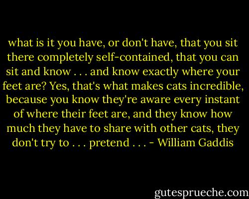 what is it you have, or don't have, that you sit there completely self-contained, that you can sit and know . . . and know exactly where your feet are? Yes, that's what makes cats incredible, because you know they're aware every instant of where their feet are, and they know how much they have to share with other cats, they don't try to . . . pretend . . . - William Gaddis