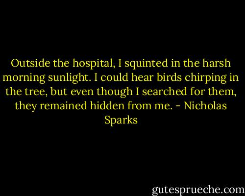 Outside the hospital, I squinted in the harsh morning sunlight. I could hear birds chirping in the tree, but even though I searched for them, they remained hidden from me. - Nicholas Sparks