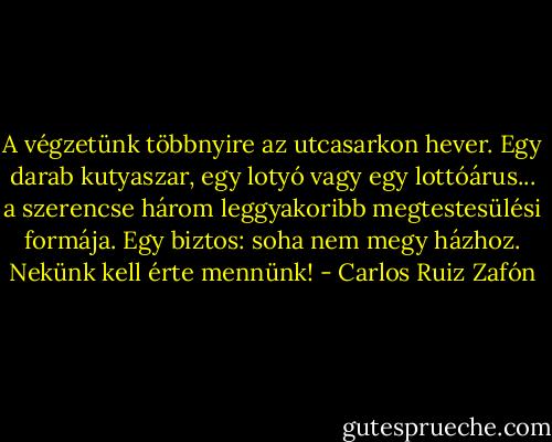 A végzetünk többnyire az utcasarkon hever. Egy darab kutyaszar, egy lotyó vagy egy lottóárus... a szerencse három leggyakoribb megtestesülési formája. Egy biztos: soha nem megy házhoz. Nekünk kell érte mennünk! - Carlos Ruiz Zafón