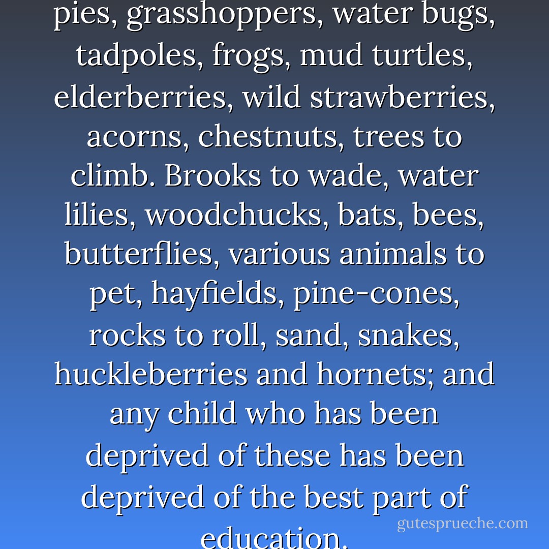Every child should have mud pies, grasshoppers, water bugs, tadpoles, frogs, mud turtles, elderberries, wild strawberries, acorns, chestnuts, trees to climb. Brooks to wade, water lilies, woodchucks, bats, bees, butterflies, various animals to pet, hayfields, pine-cones, rocks to roll, sand, snakes, huckleberries and hornets; and any child who has been deprived of these has been deprived of the best part of education. - Luther Burbank