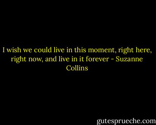 I wish we could live in this moment, right here, right now, and live in it forever - Suzanne Collins