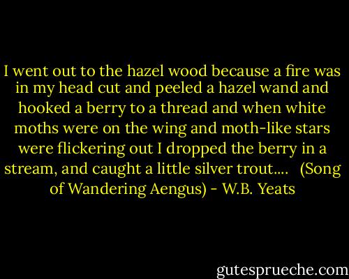 I went out to the hazel wood<br />because a fire was in my head<br />cut and peeled a hazel wand<br />and hooked a berry to a thread<br />and when white moths were on the wing<br />and moth-like stars were flickering out<br />I dropped the berry in a stream,<br />and caught a little silver trout....<br /><br /><br />(Song of Wandering Aengus) - W.B. Yeats