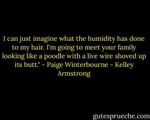 I can just imagine what the humidity has done to my hair. I'm going to meet your family looking like a poodle with a live wire shoved up its butt." - Paige Winterbourne - Kelley Armstrong