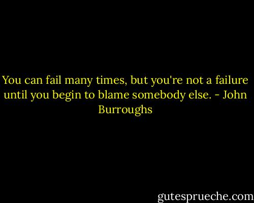 You can fail many times, but you're not a failure until you begin to blame somebody else. - John Burroughs
