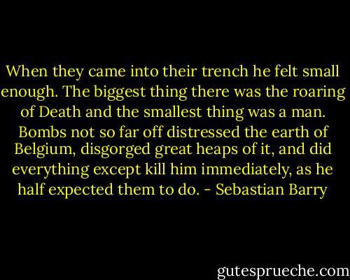 When they came into their trench he felt small enough. The biggest thing there was the roaring of Death and the smallest thing was a man. Bombs not so far off distressed the earth of Belgium, disgorged great heaps of it, and did everything except kill him immediately, as he half expected them to do. - Sebastian Barry