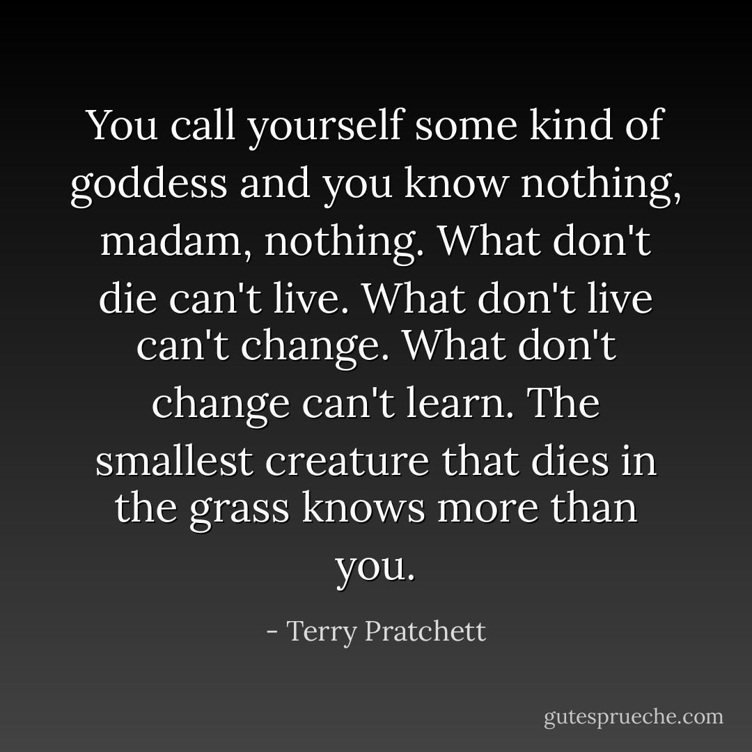 You call yourself some kind of goddess and you know nothing, madam, nothing. What don't die can't live. What don't live can't change. What don't change can't learn. The smallest creature that dies in the grass knows more than you. - Terry Pratchett