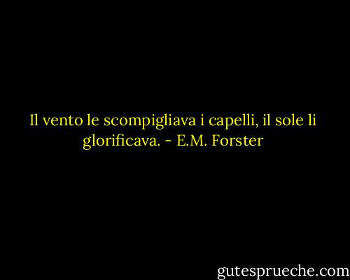 Il vento le scompigliava i capelli, il sole li glorificava. - E.M. Forster