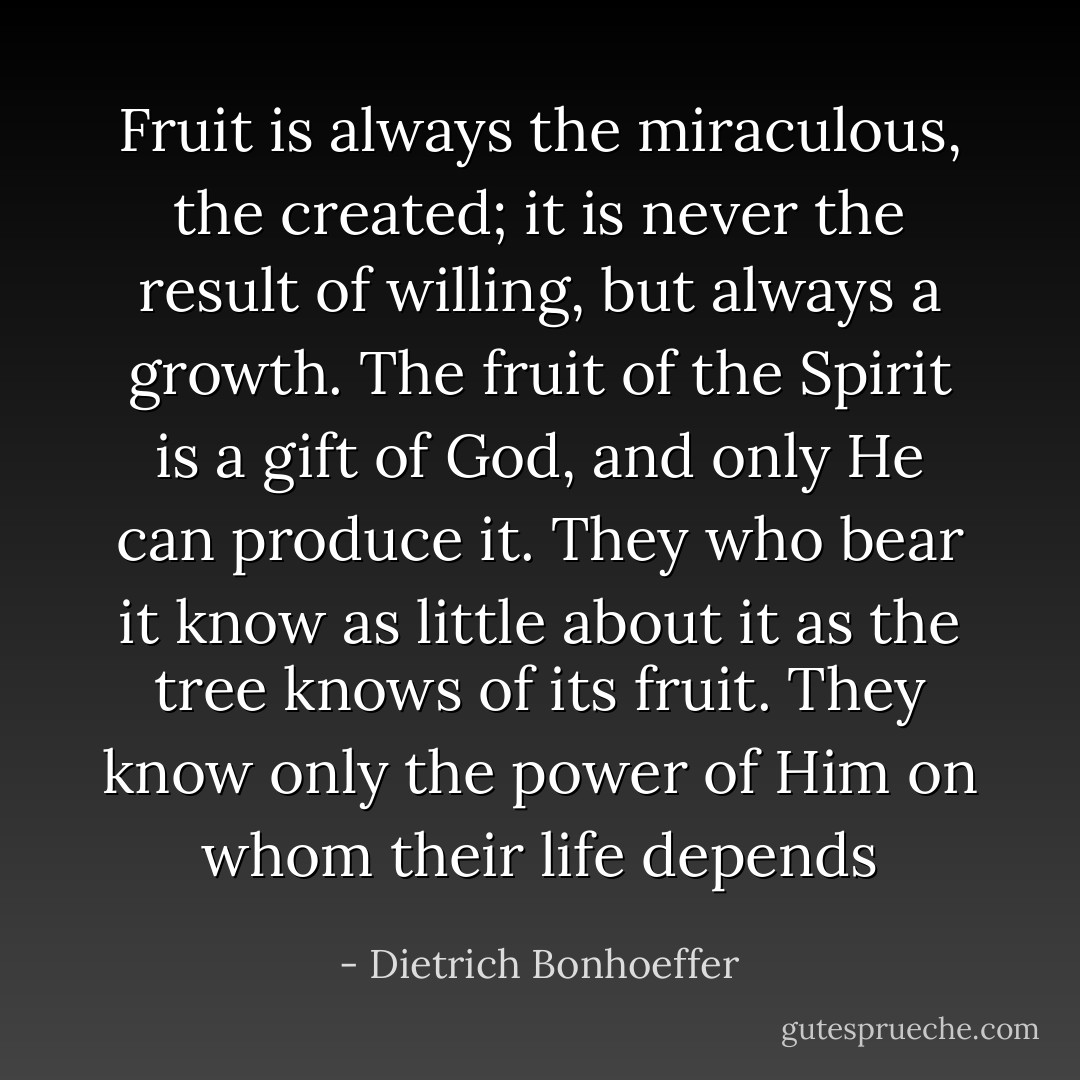 Fruit is always the miraculous, the created; it is never the result of willing, but always a growth. The fruit of the Spirit is a gift of God, and only He can produce it. They who bear it know as little about it as the tree knows of its fruit. They know only the power of Him on whom their life depends - Dietrich Bonhoeffer