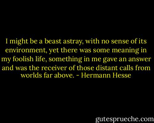 I might be a beast astray, with no sense of its environment, yet there was some meaning in my foolish life, something in me gave an answer and was the receiver of those distant calls from worlds far above. - Hermann Hesse