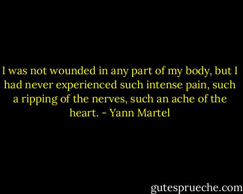 I was not wounded in any part of my body, but I had never experienced such intense pain, such a ripping of the nerves, such an ache of the heart. - Yann Martel