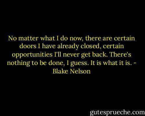 No matter what I do now, there are certain doors I have already closed, certain opportunities I'll never get back. There's nothing to be done, I guess. It is what it is. - Blake Nelson