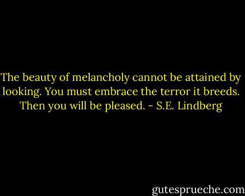 The beauty of melancholy cannot be attained by looking. You must embrace the terror it breeds. Then you will be pleased. - S.E. Lindberg