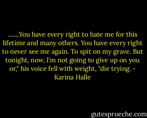 .......You have every right to hate me for this lifetime and many others. You have every right to never see me again. To spit on my grave. But tonight, now, I'm not going to give up on you or," his voice fell with weight, "die trying. - Karina Halle