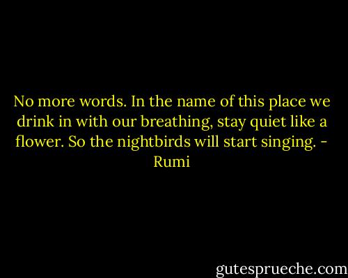 No more words. In the name of this place we drink in with our breathing, stay quiet like a flower.<br />So the nightbirds will start singing. - Rumi