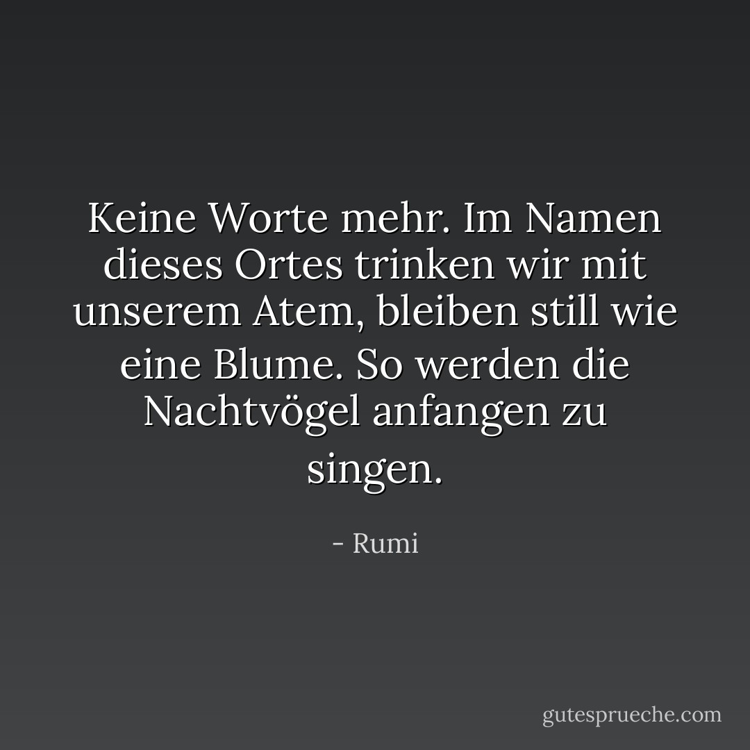 Keine Worte mehr. Im Namen dieses Ortes trinken wir mit unserem Atem, bleiben still wie eine Blume.<br />So werden die Nachtvögel anfangen zu singen. - Rumi<