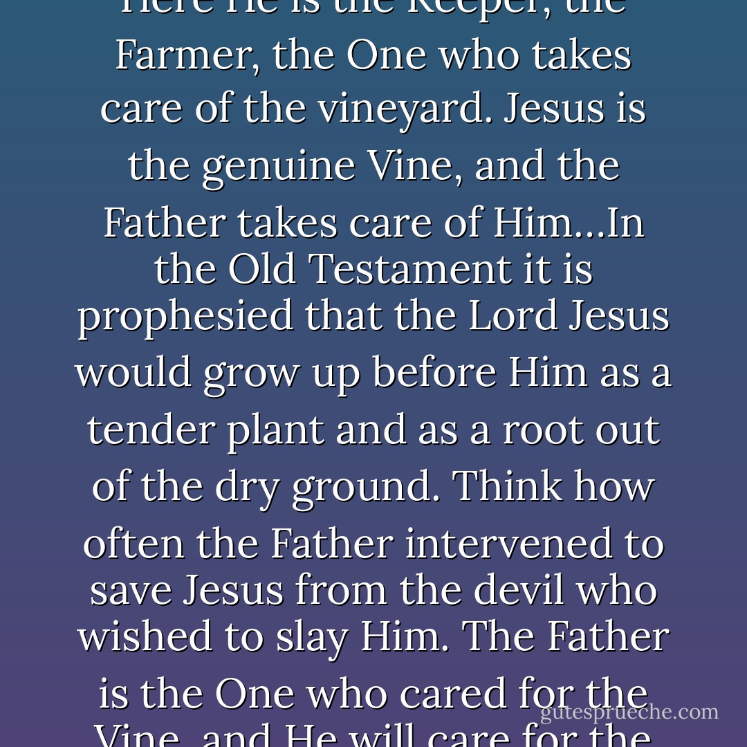 In the Old Testament…God is the owner of the vineyard. Here He is the Keeper, the Farmer, the One who takes care of the vineyard. Jesus is the genuine Vine, and the Father takes care of Him…In the Old Testament it is prophesied that the Lord Jesus would grow up before Him as a tender plant and as a root out of the dry ground. Think how often the Father intervened to save Jesus from the devil who wished to slay Him. The Father is the One who cared for the Vine, and He will care for the branches, too. - J. Vernon McGee