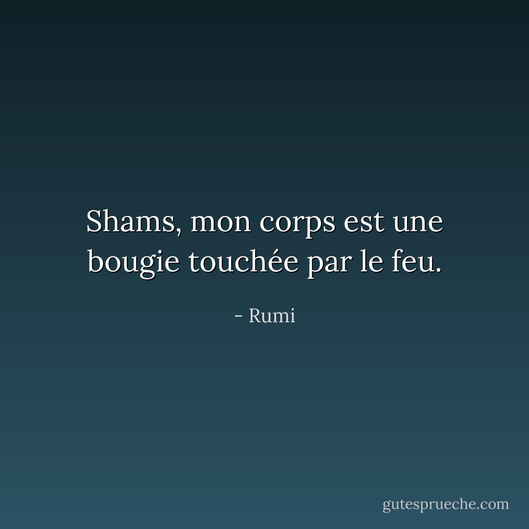 Shams, mon corps est une bougie touchée par le feu. - Rumi